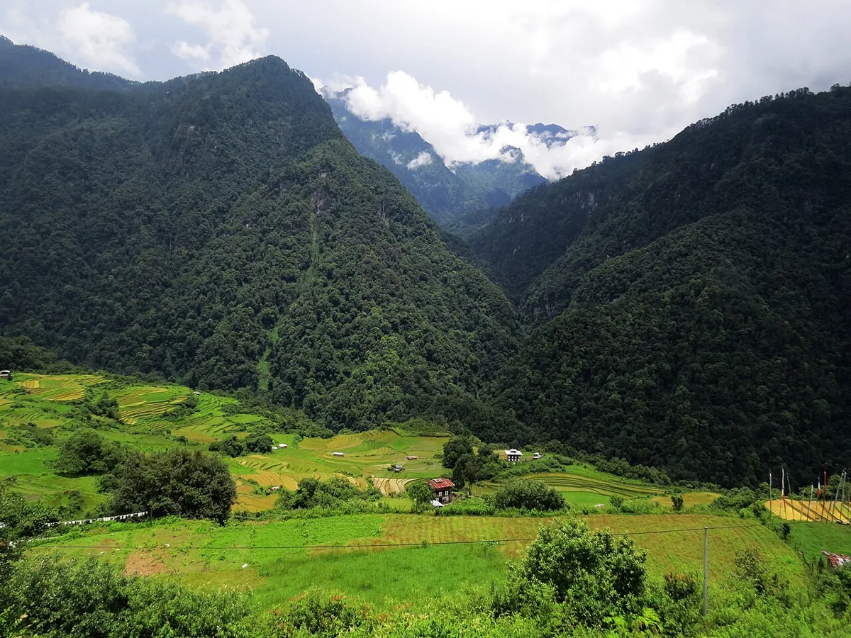 Densely forested mountains of Jigme Dorji NP — Bhutan