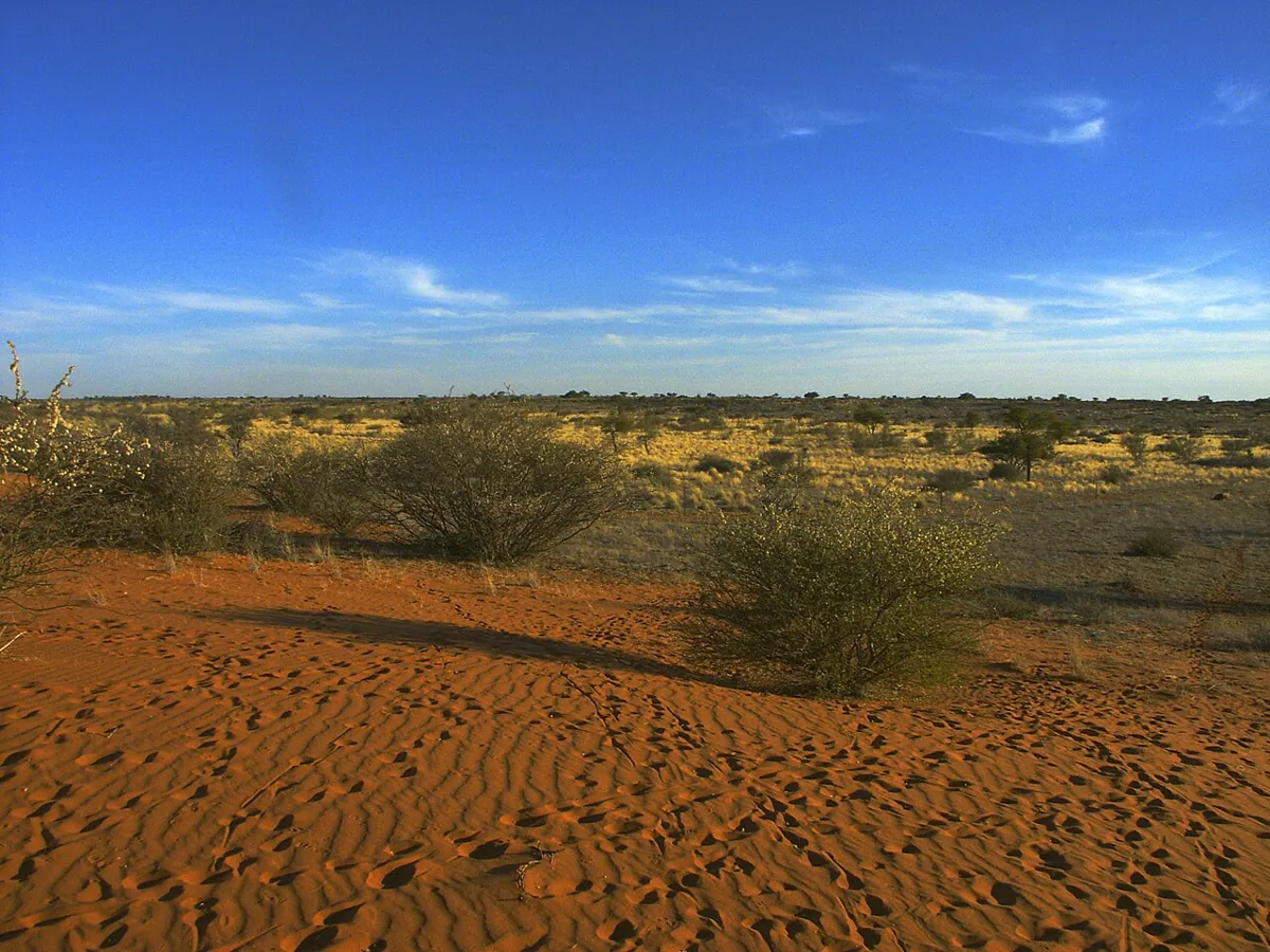 Kalahari Desert — Botswana