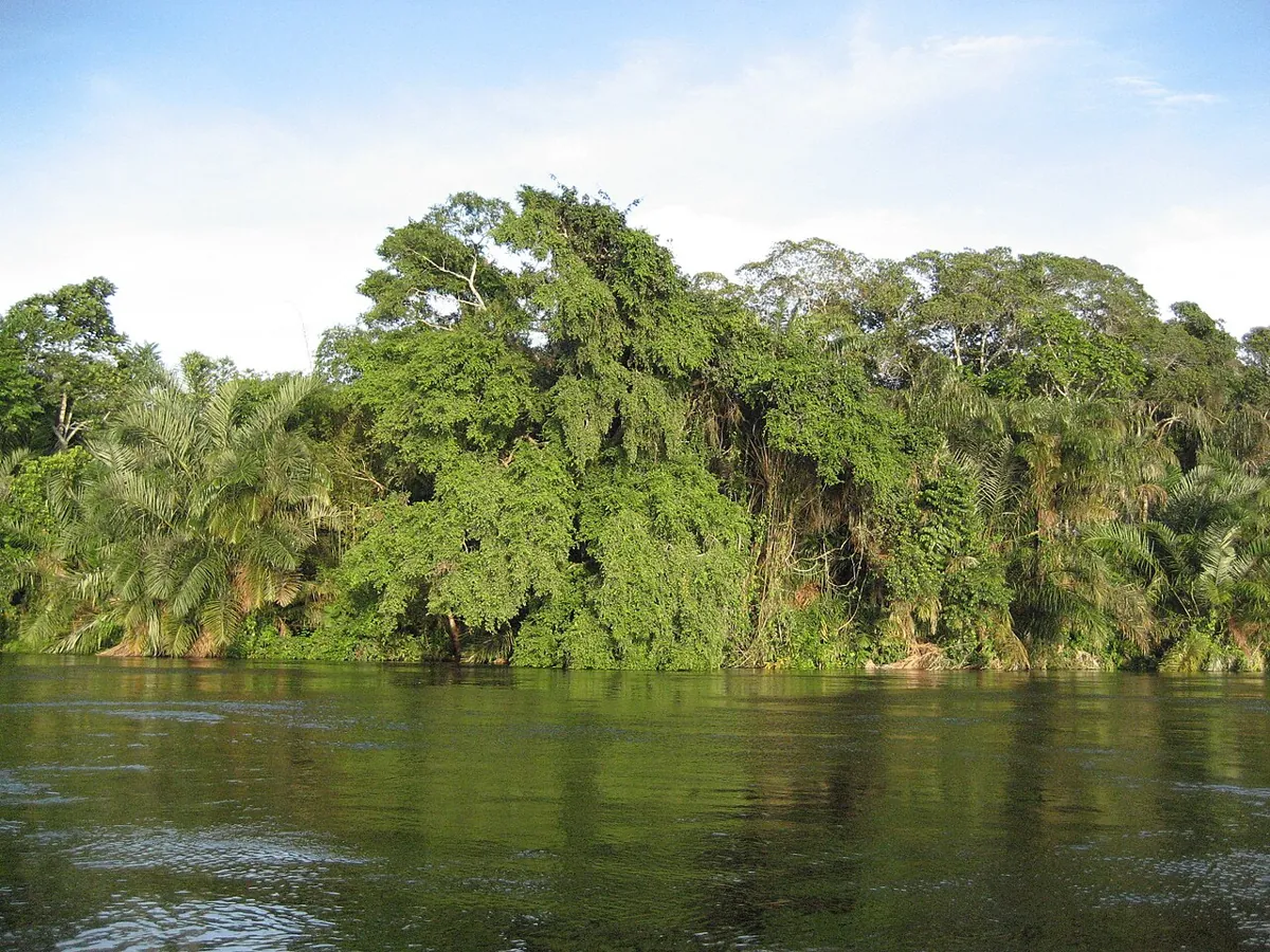 Landscape at the Alima River, a tributary to the Congo River — Republic of the Congo