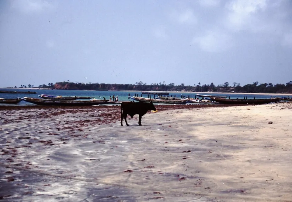 A beach in The Gambia