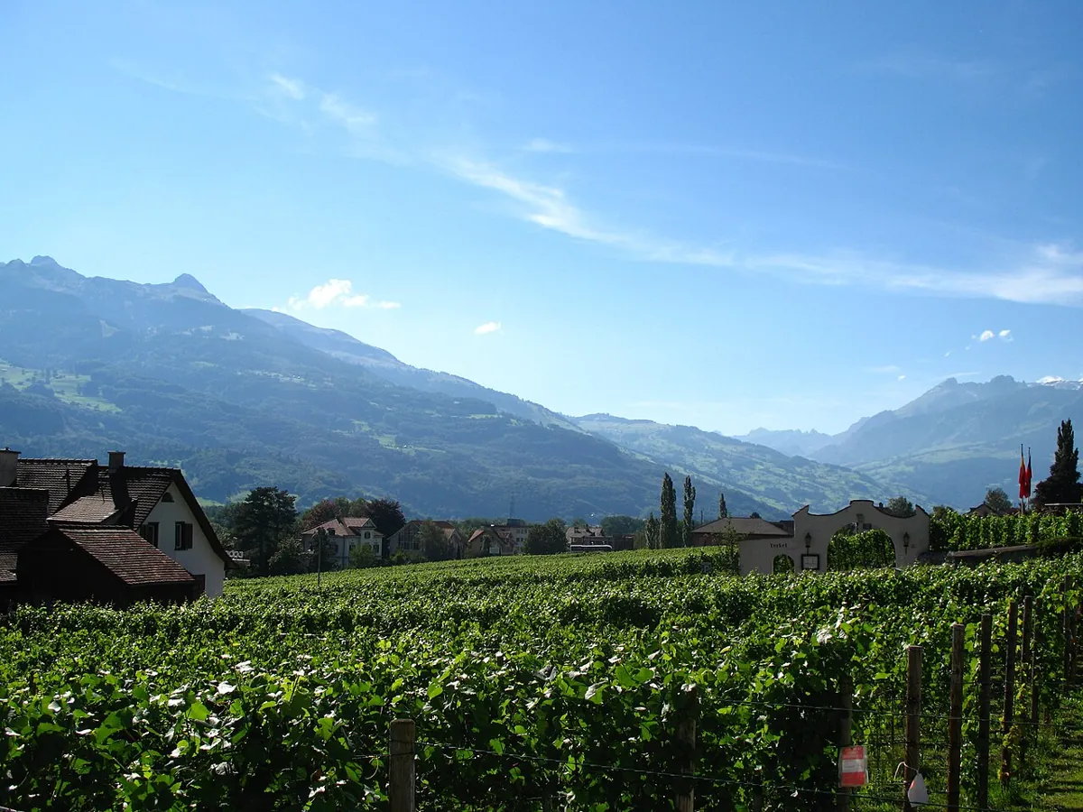 Wineyard in Balzers — Liechtenstein