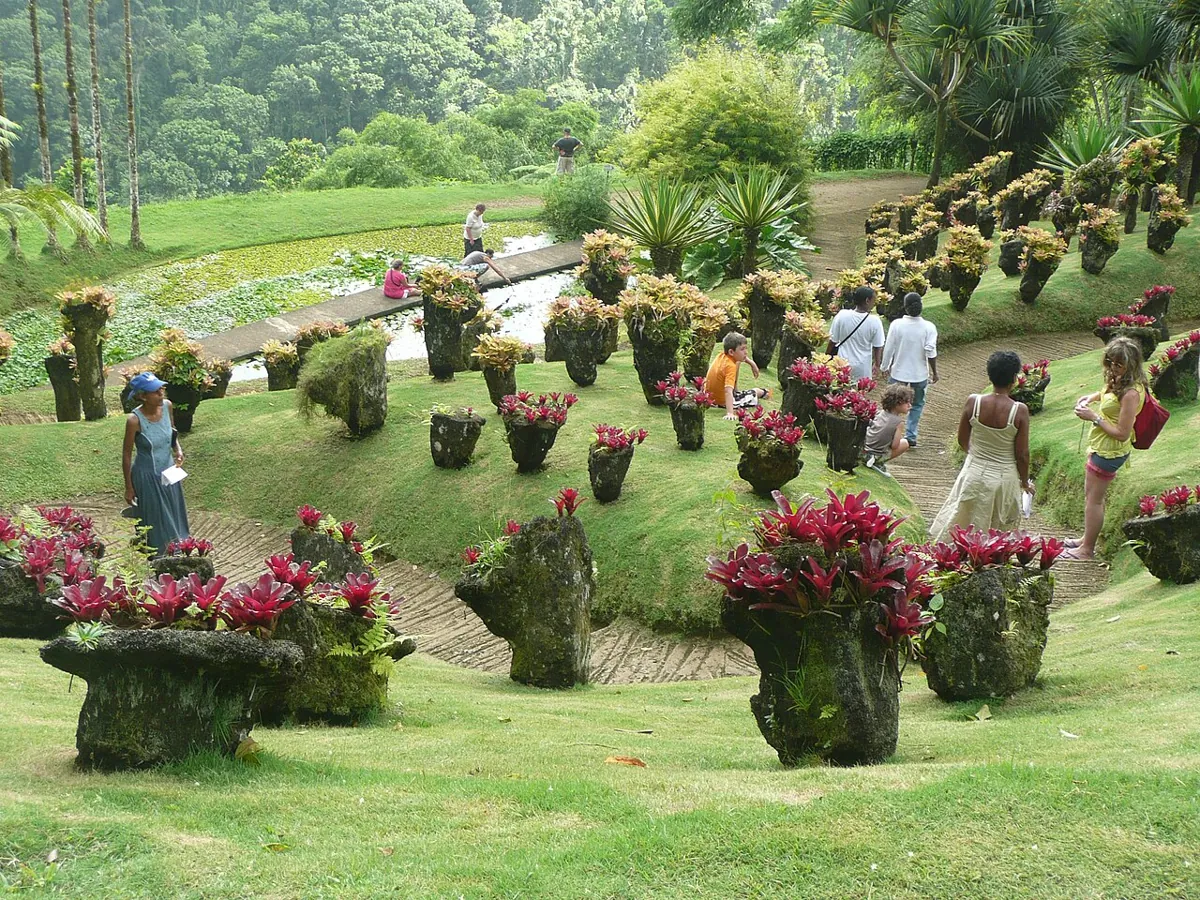 A section of Jardin de Balata. — Martinique