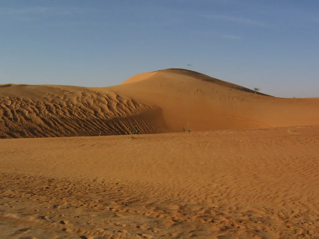 Much of Mauritania is desert