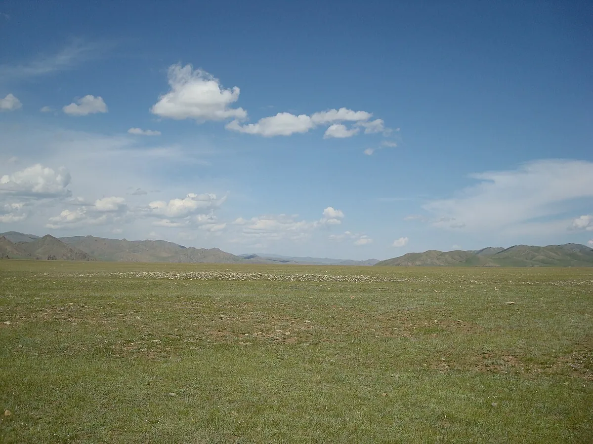 Steppe in Hovsgol — if you want to experience desolate landscapes, Mongolia has plenty of them.