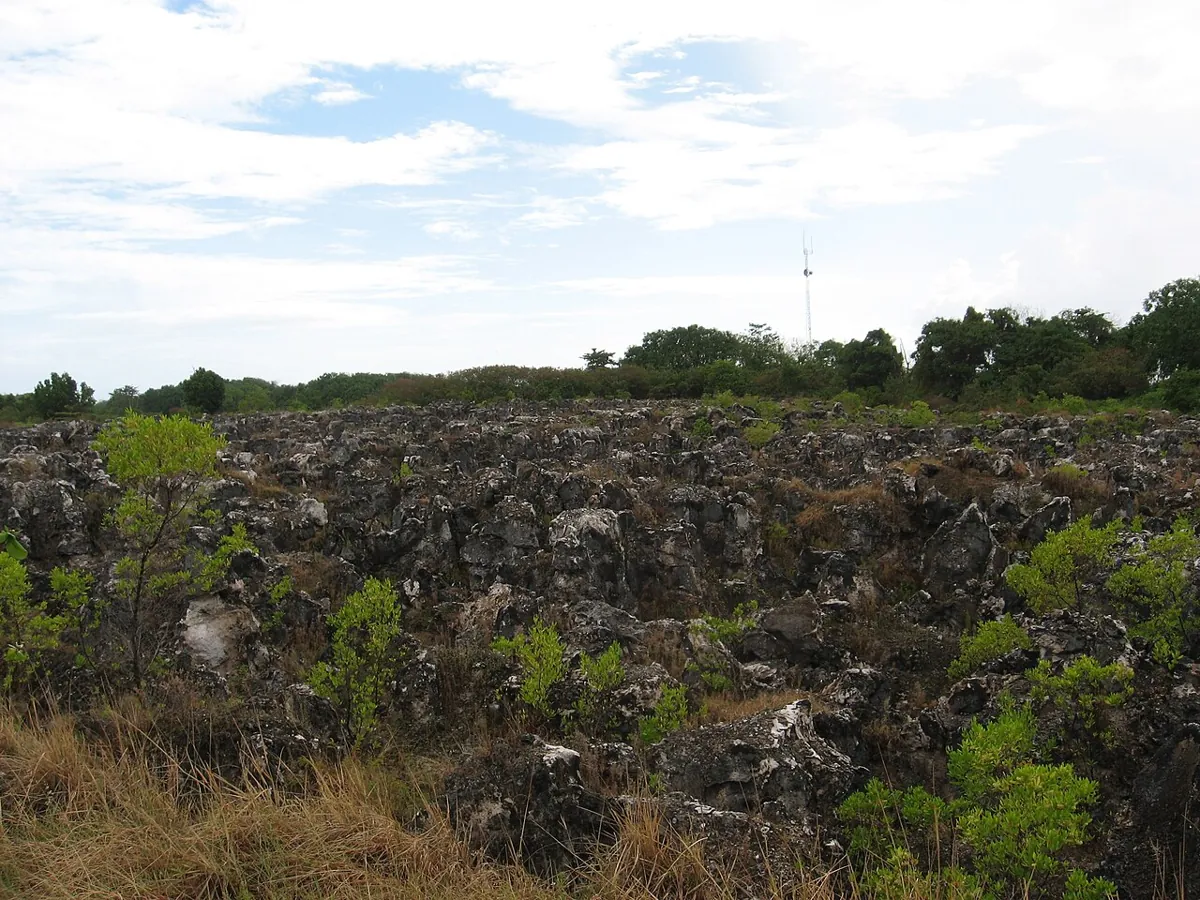 Karst landscape with limestone stalagmites in the island's interior — Nauru