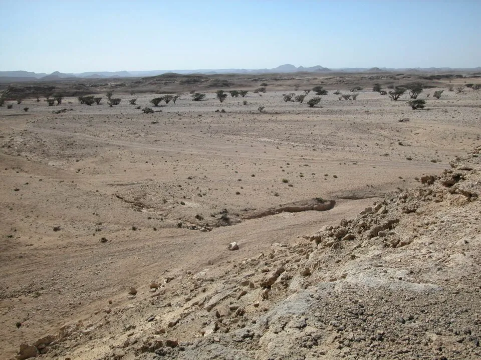 Landscape in the World Heritage Site "Land of Frankincense" — Oman